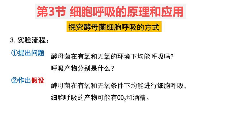 5.3 细胞呼吸的原理和应用 (1)课件【新教材】人教版（2019）高中生物必修一07