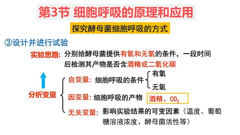 5.3 细胞呼吸的原理和应用 (1)课件【新教材】人教版（2019）高中生物必修一08