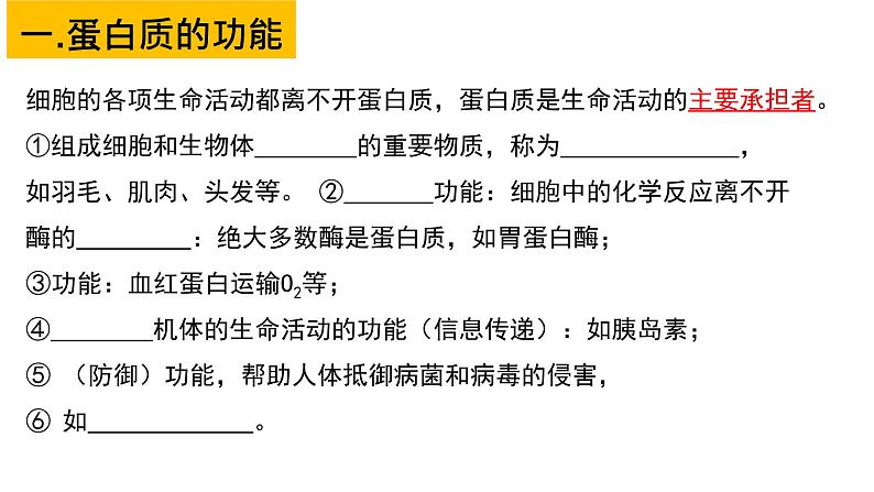 2.4 蛋白质是生命活动的主要承担者 课件【新教材】人教版（2019）高中生物必修一(共24张PPT)第4页