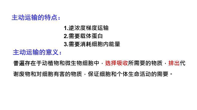 4.2 主动运输与胞吞、胞吐 课件【新教材】人教版（2019）高中生物必修一 (共21张PPT)07