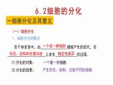 6.2 细胞的分化 课件【新教材】人教版（2019）高中生物必修一