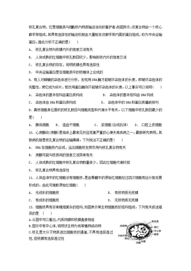 3.3 细胞核的结构和功能 练习【新教材】人教版（2019）高中生物必修一第2页