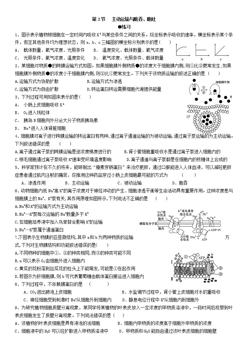 4.2 主动运输与胞吞、胞吐 练习【新教材】人教版（2019）高中生物必修一01