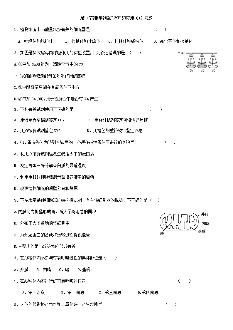 5.3 细胞呼吸的原理和应用（1）练习【新教材】人教版（2019）高中生物必修一第1页