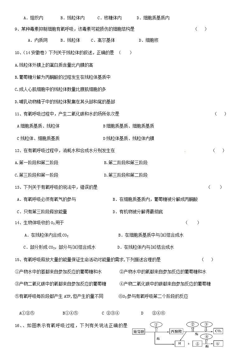 5.3 细胞呼吸的原理和应用（1）练习【新教材】人教版（2019）高中生物必修一第2页