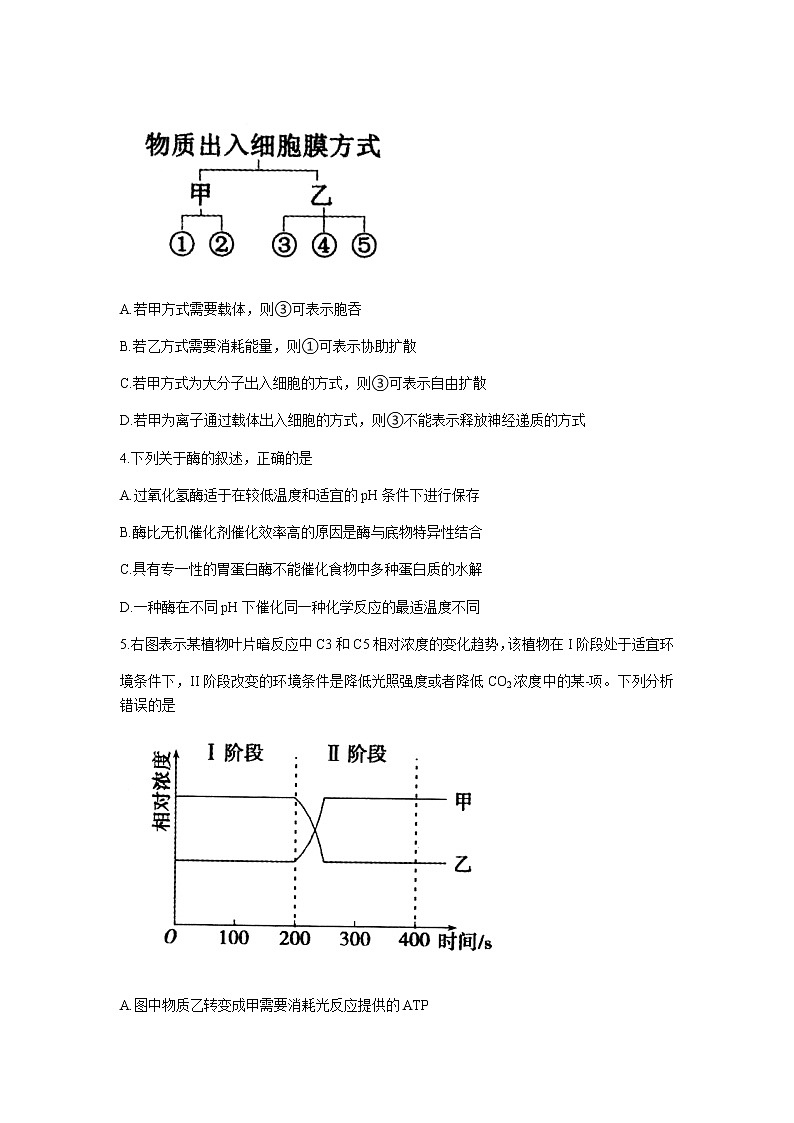 新疆乌鲁木齐地区2022届高三第一次质量监测生物试卷及答案02