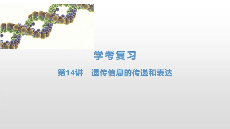 学考复习14遗传信息的传递和表达 课件 2021届浙江高考生物学考复习（浙科版（2019））第1页