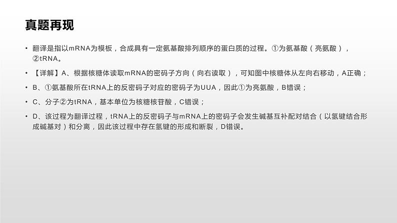 学考复习14遗传信息的传递和表达 课件 2021届浙江高考生物学考复习（浙科版（2019））第3页