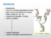 学考复习14遗传信息的传递和表达 课件 2021届浙江高考生物学考复习（浙科版（2019））