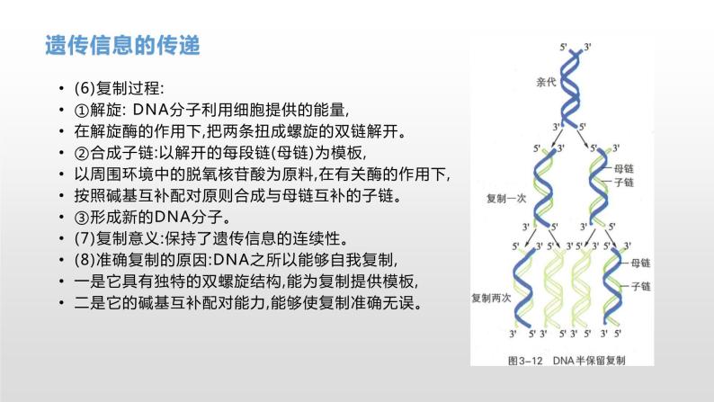 学考复习14遗传信息的传递和表达 课件 2021届浙江高考生物学考复习（浙科版（2019））06
