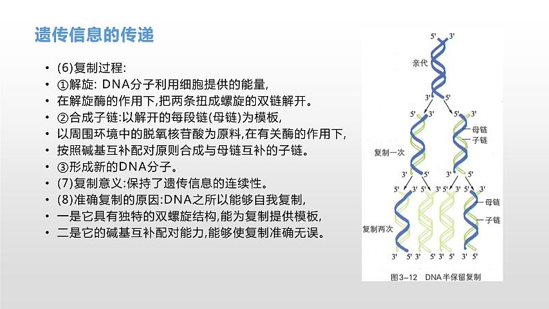 学考复习14遗传信息的传递和表达 课件 2021届浙江高考生物学考复习（浙科版（2019））第6页