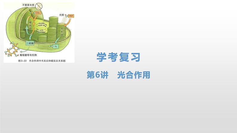 学考复习6光合作用 课件 2021届浙江高考生物学考复习（浙科版（2019））第1页