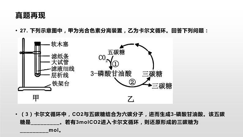 学考复习6光合作用 课件 2021届浙江高考生物学考复习（浙科版（2019））第6页