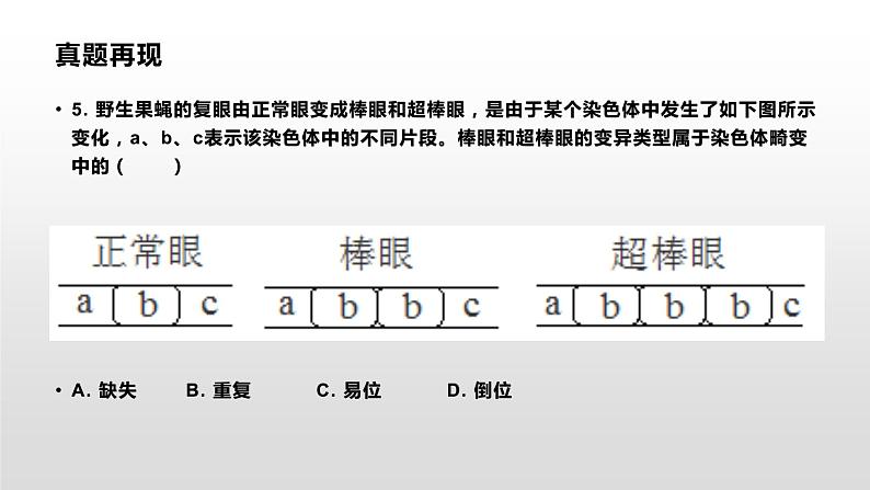 学考复习15生物的变异 课件 2021届浙江高考生物学考复习（浙科版（2019））第2页