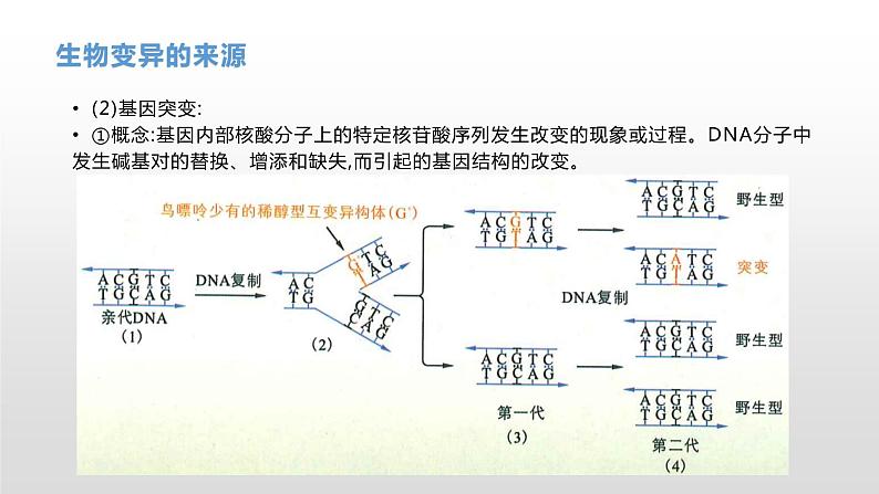 学考复习15生物的变异 课件 2021届浙江高考生物学考复习（浙科版（2019））第8页