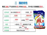 5.1.2降低化学反应活化能的酶 课件【新教材】人教版（2019）高中生物必修一