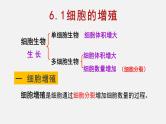 6.1 细胞增殖（1）课件【新教材】人教版（2019）高中生物必修一