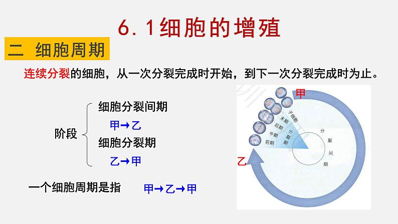 6.1 细胞增殖（1）课件【新教材】人教版（2019）高中生物必修一第5页