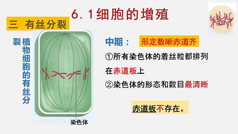 6.1 细胞增殖（1）课件【新教材】人教版（2019）高中生物必修一第8页