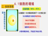 6.1 细胞增殖（2）课件【新教材】人教版（2019）高中生物必修一