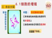 6.1 细胞增殖（2）课件【新教材】人教版（2019）高中生物必修一
