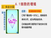 6.1 细胞增殖（2）课件【新教材】人教版（2019）高中生物必修一