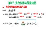 5.4.2 光合作用与能量转化 课件【新教材】人教版（2019）高中生物必修一