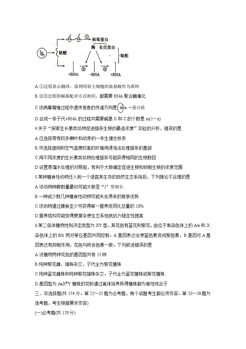 山西省晋中市2020-2021学年高三下学期3月适应性考试（二模）生物试题含答案02