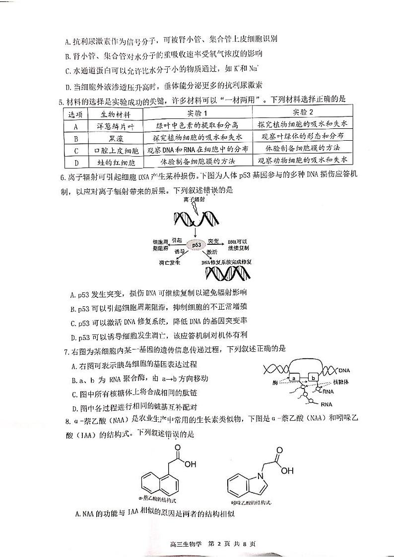 珠海市2021-2022学年第一学期期末普通高中质量监测（一模）高三生物试题含答案02
