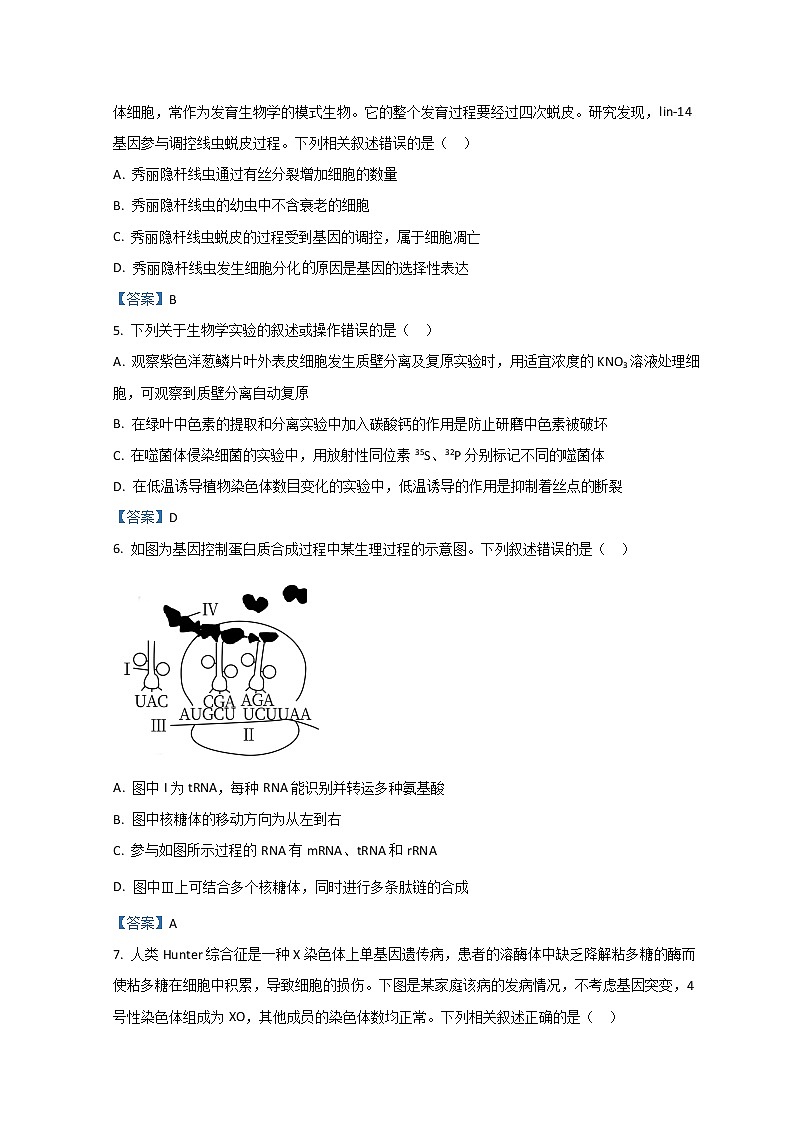 广东省汕尾市2022届高三上学期期末调研考试生物试题含答案02