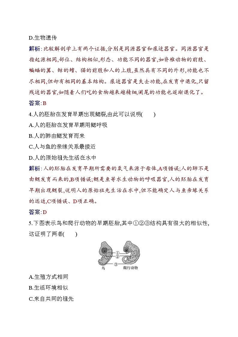 2020-2021 学年高一下学期生物人教版必修二：6.1生物有共同祖先的证据练习第2页