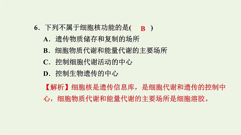 2021_2022学年新教材高中生物高效作业9细胞核是细胞生命活动的控制中心课件浙科版必修第一册第6页