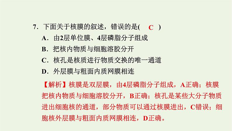 2021_2022学年新教材高中生物高效作业9细胞核是细胞生命活动的控制中心课件浙科版必修第一册第7页