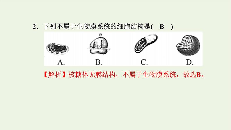 2021_2022学年新教材高中生物高效作业10细胞在结构和功能上是一个统一整体课件浙科版必修第一册03