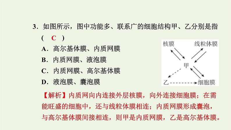 2021_2022学年新教材高中生物高效作业10细胞在结构和功能上是一个统一整体课件浙科版必修第一册04