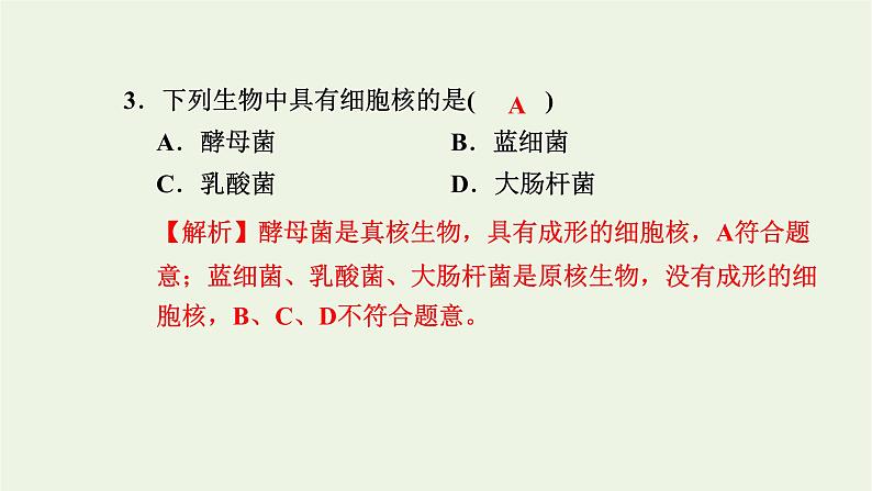 2021_2022学年新教材高中生物高效作业11原核细胞内无成形的细胞核课件浙科版必修第一册04