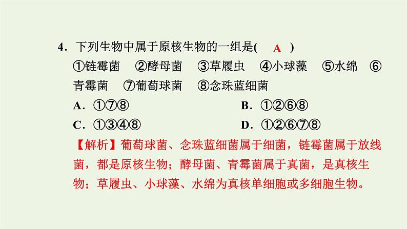 2021_2022学年新教材高中生物高效作业11原核细胞内无成形的细胞核课件浙科版必修第一册05