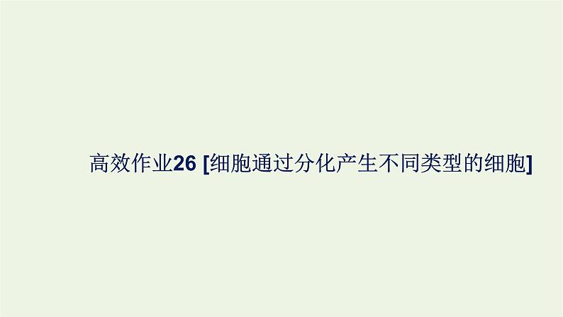 2021_2022学年新教材高中生物高效作业26细胞通过分化产生不同类型的细胞课件浙科版必修第一册01