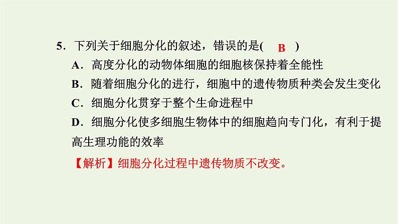 2021_2022学年新教材高中生物高效作业26细胞通过分化产生不同类型的细胞课件浙科版必修第一册06