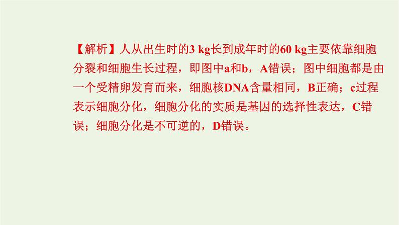 2021_2022学年新教材高中生物高效作业26细胞通过分化产生不同类型的细胞课件浙科版必修第一册08