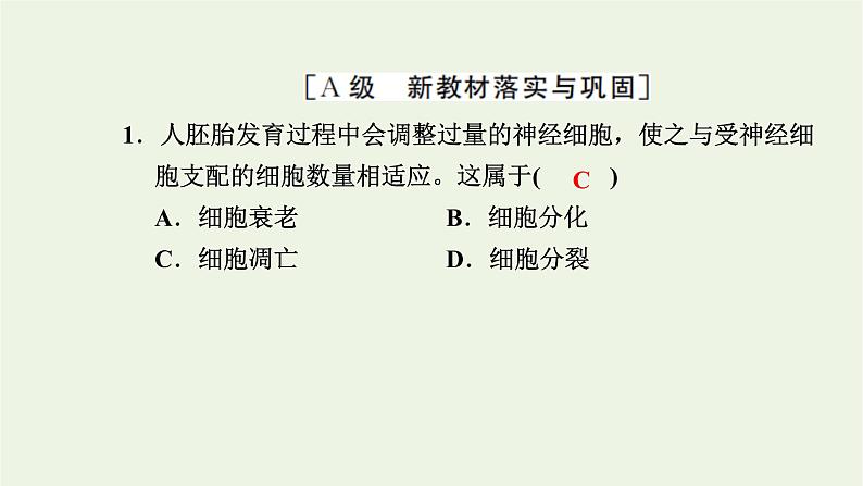 2021_2022学年新教材高中生物高效作业27细胞凋亡是编程性死亡课件浙科版必修第一册02