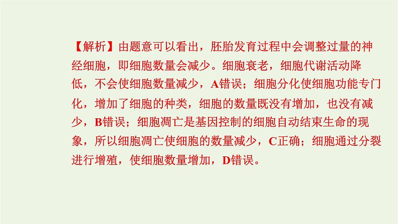 2021_2022学年新教材高中生物高效作业27细胞凋亡是编程性死亡课件浙科版必修第一册03