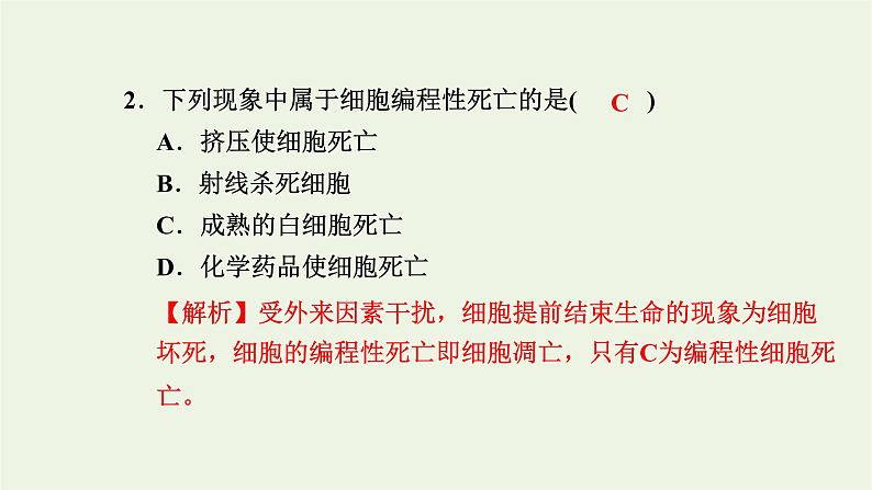 2021_2022学年新教材高中生物高效作业27细胞凋亡是编程性死亡课件浙科版必修第一册04