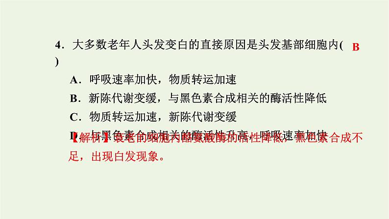 2021_2022学年新教材高中生物高效作业27细胞凋亡是编程性死亡课件浙科版必修第一册07