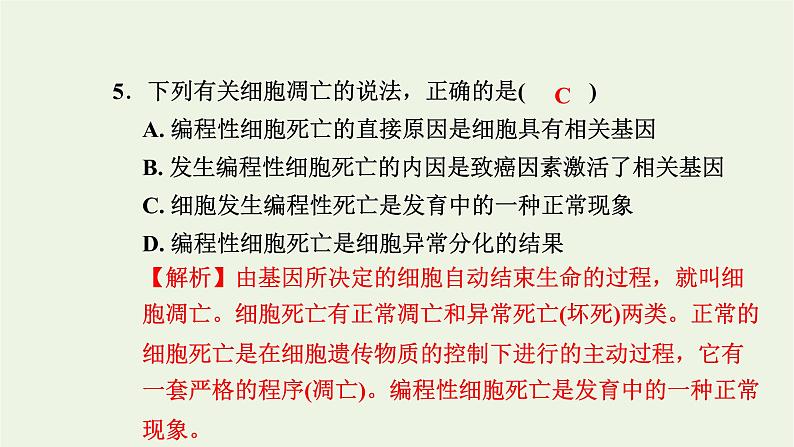 2021_2022学年新教材高中生物高效作业27细胞凋亡是编程性死亡课件浙科版必修第一册08