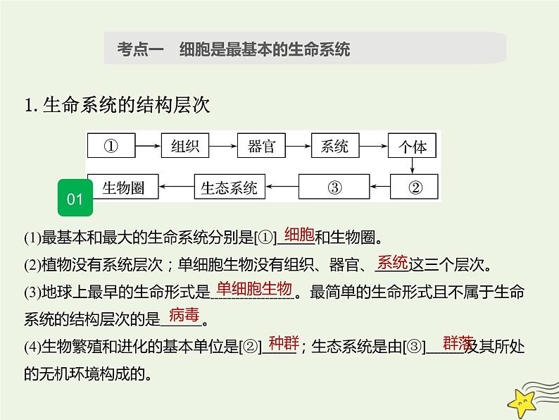 2022届新教材高考生物一轮复习第一单元细胞的概述及分子组成第01讲走近细胞课件03