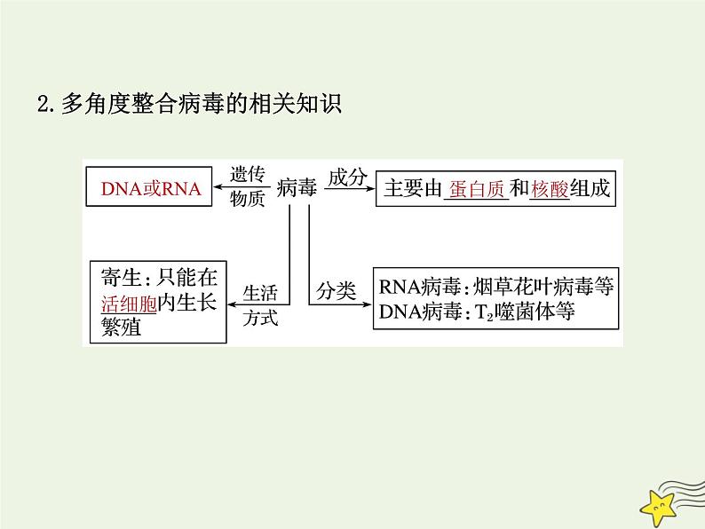 2022届新教材高考生物一轮复习第一单元细胞的概述及分子组成第01讲走近细胞课件04