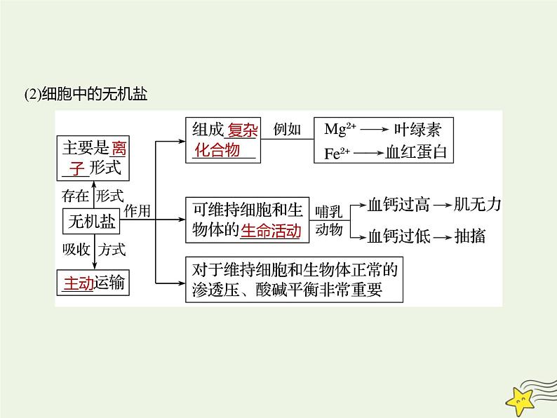 2022届新教材高考生物一轮复习第一单元细胞的概述及分子组成第02讲无机物糖类和脂质课件07