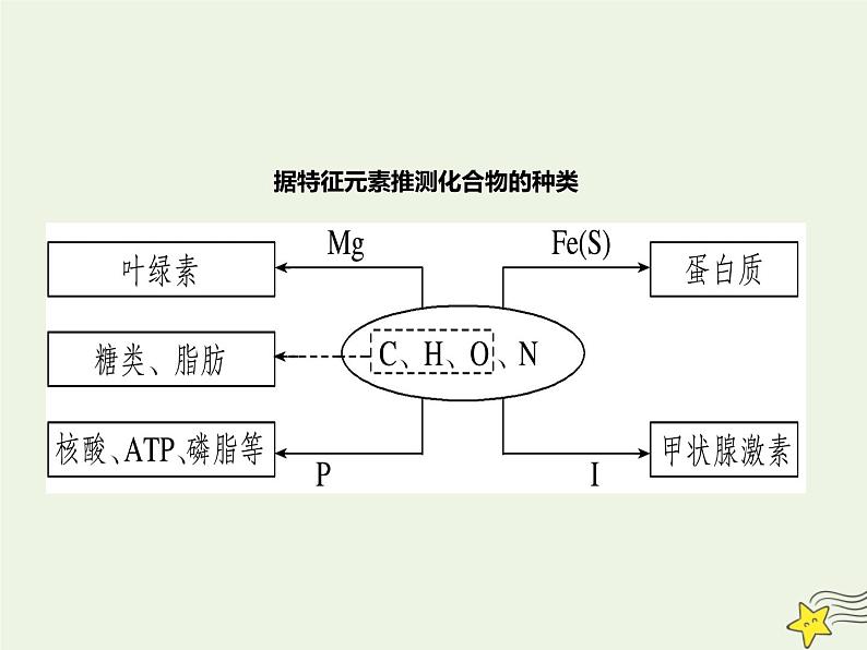 2022届新教材高考生物一轮复习第一单元细胞的概述及分子组成第02讲无机物糖类和脂质课件08