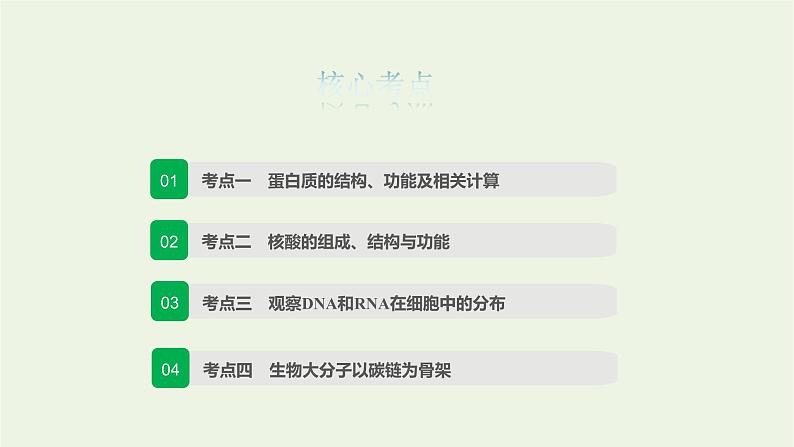 2022届新教材高考生物一轮复习第一单元细胞的概述及分子组成第03讲蛋白质和核酸课件02